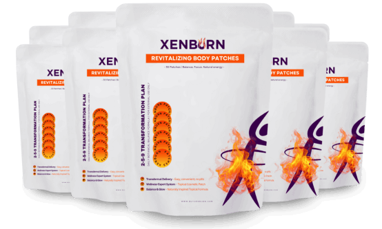 XenBurn official website